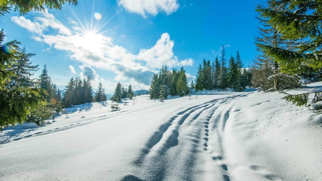 En vakker snødekt sti som snirkler seg gjennom fjellene, omgitt av hvite snøflater og frodige trær.